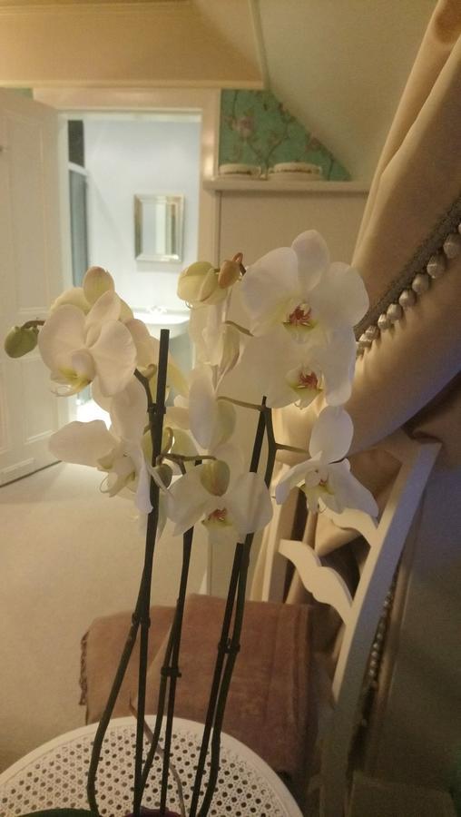 Trinity Boutique B&B Peterhead Ngoại thất bức ảnh